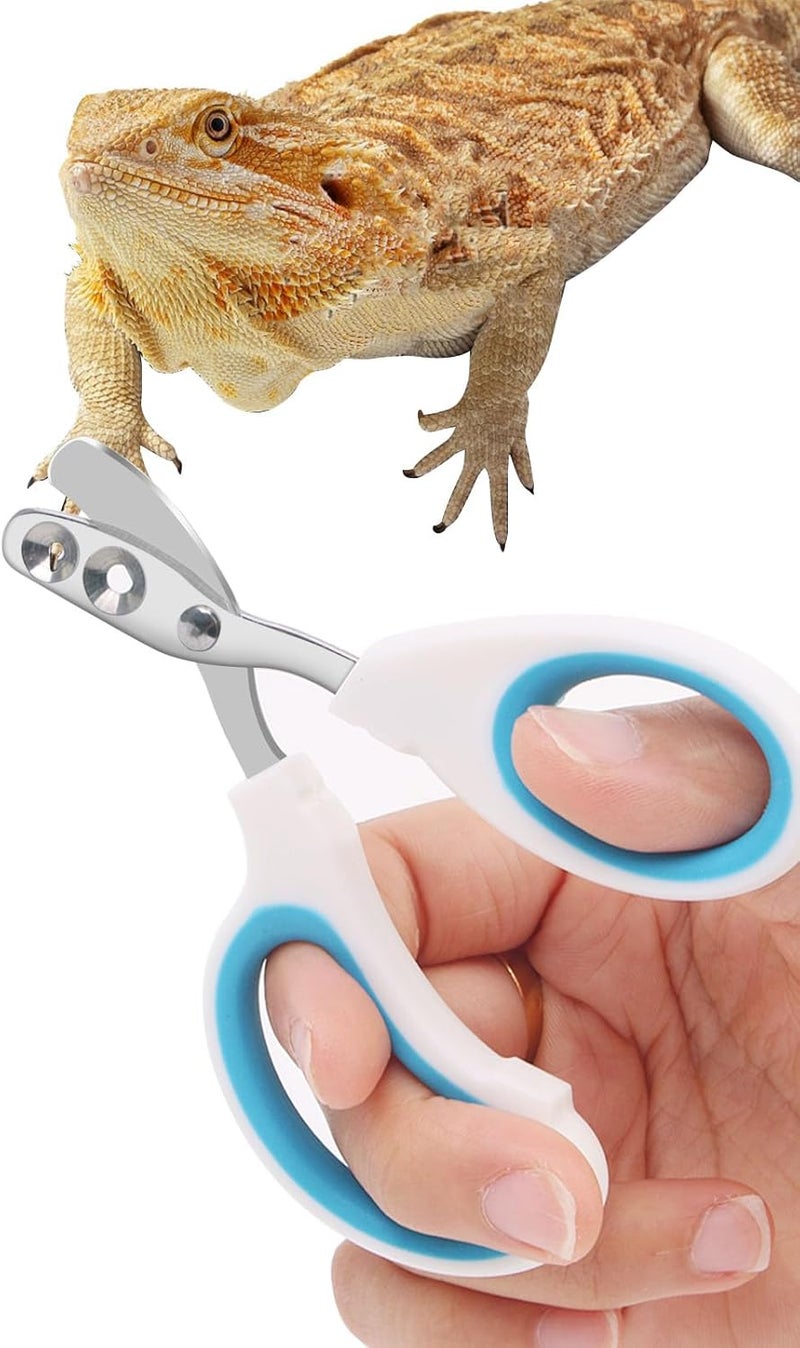 Engorgio Stainless Steel Bearded Dragon Nail Clippers,Lizard Nail Clippers,Bearded Dragon Supplies,Bearded Dragon Nail Scissors for Small Reptiles,Turtle,Chameleon,Iguana，Hedgehog（Blue） - Image 1